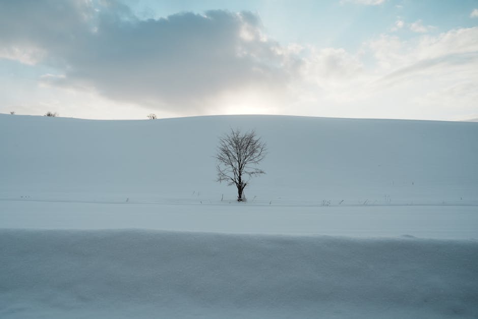 Hokkaido snow application