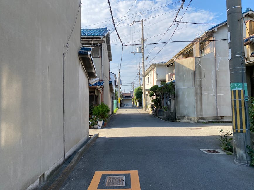 Exploring the Wonders of Osaka street