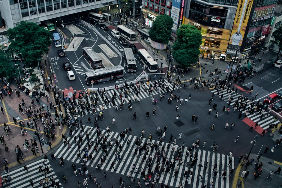 Shibuya Crossing pedestrian flow