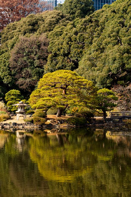The vibrant but crowded scene during the cherry blossom season, with groups picnicking under the pink canopies