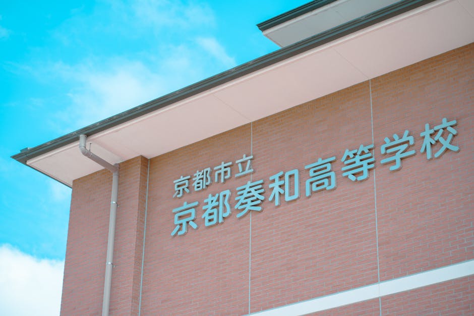 A beautifully arranged selection of ingredients purchased at the market, showcasing its application in home cooking